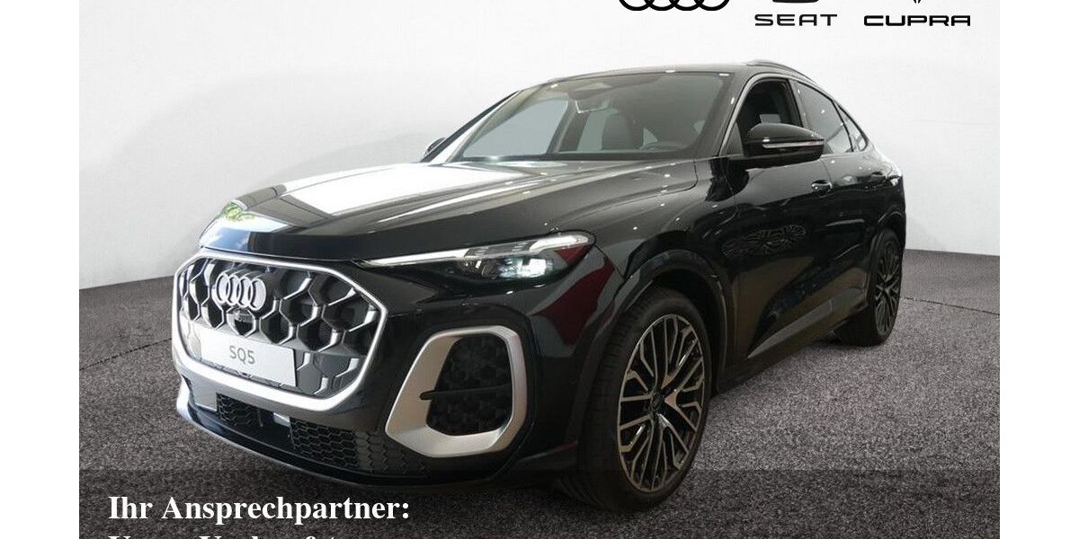 Audi SQ5 3.500 km 85.580 &euro; Bietigheim-Bissingen 74321