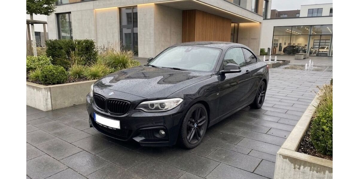 BMW 220 176.000 km 16.990 &euro; Cleebronn 74389