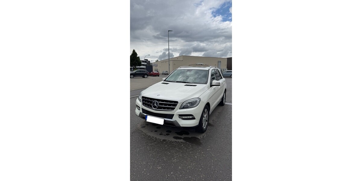 Mercedes-Benz ML 350 189.100 km 22.150 &euro; Leinfelden-Echterdingen 70771