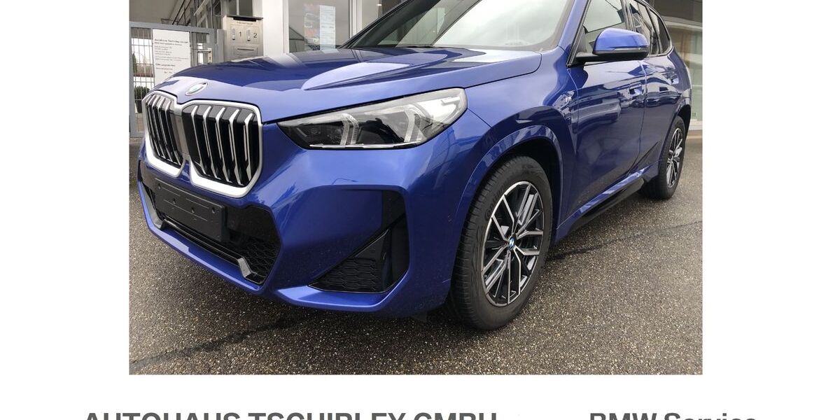 BMW X1 8.100 km 41.950 &euro; Lauffen 74348