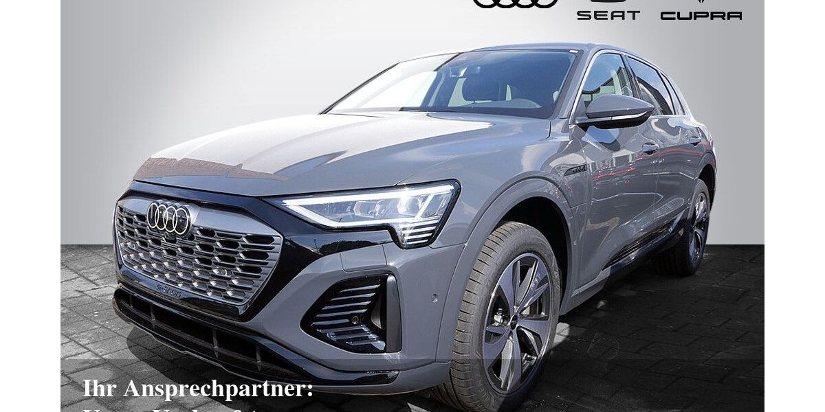 Audi Q8 e-tron 9.500 km 42.890 &euro; Bietigheim-Bissingen 74321