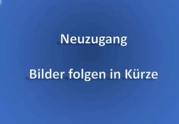 Seat Leon 148.000 km 14.600 &euro; Sindelfingen 71065