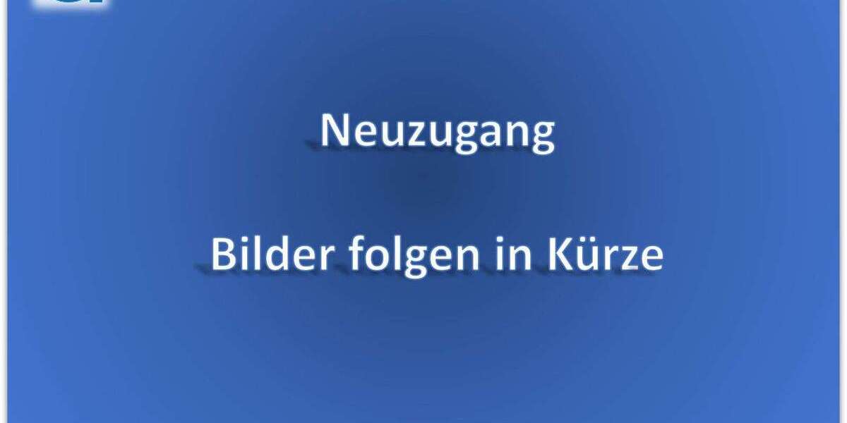 Seat Leon 148.000 km 14.600 &euro; Sindelfingen 71065