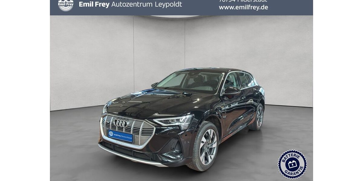 Audi e-tron 88.576 km 25.890 &euro; Filderstadt 70794