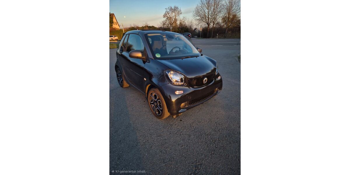 Smart ForTwo 53.000 km 11.000 &euro; Waiblingen 71332